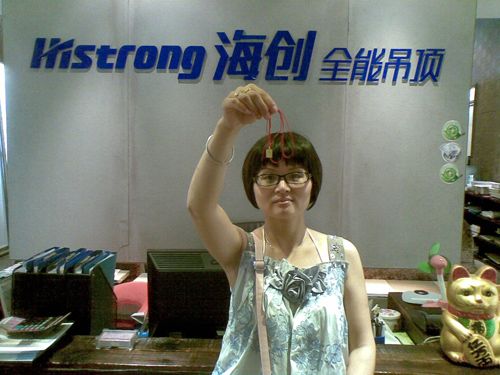 BETWAY在线-BETWAY在线（中国）集成吊顶