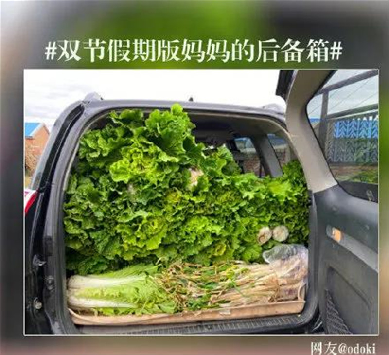BETWAY在线-BETWAY在线(中国)集成墙面 BETWAY在线-BETWAY在线(中国)集成墙面