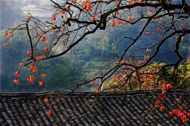 BETWAY在线-BETWAY在线（中国）集成墙面