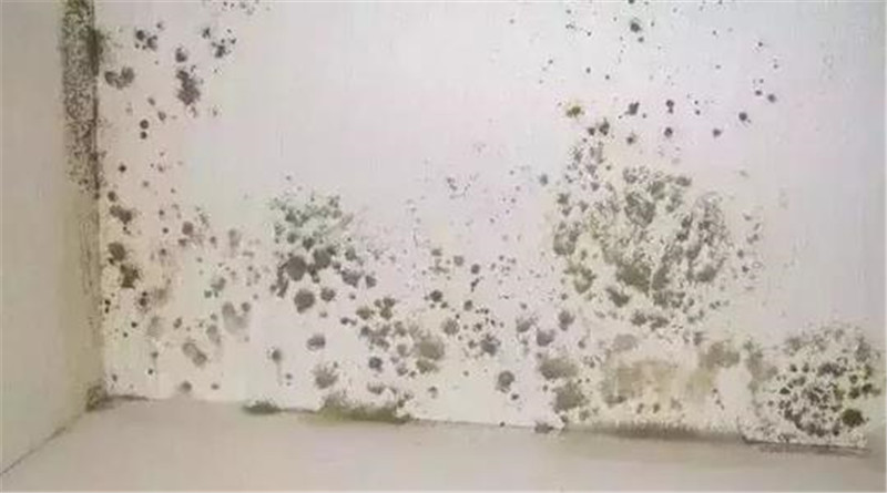 BETWAY在线-BETWAY在线（中国）集成墙面